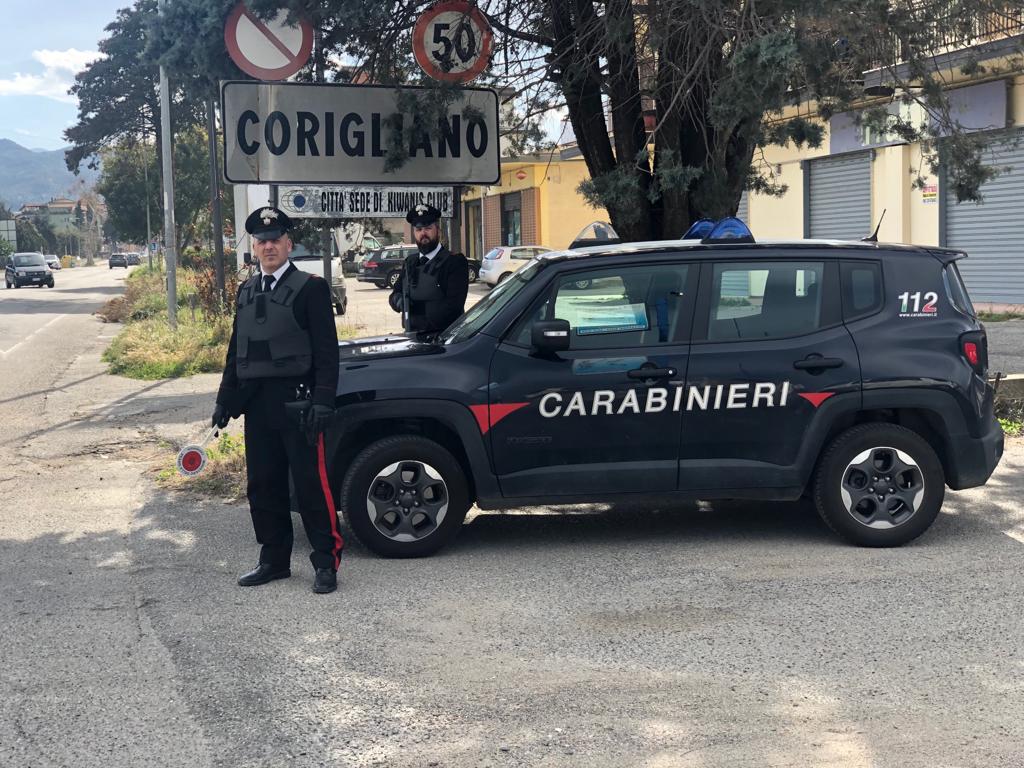 Rubano Ventuno Galline Ma Sono Stati Scoperti E Denunciati Dai