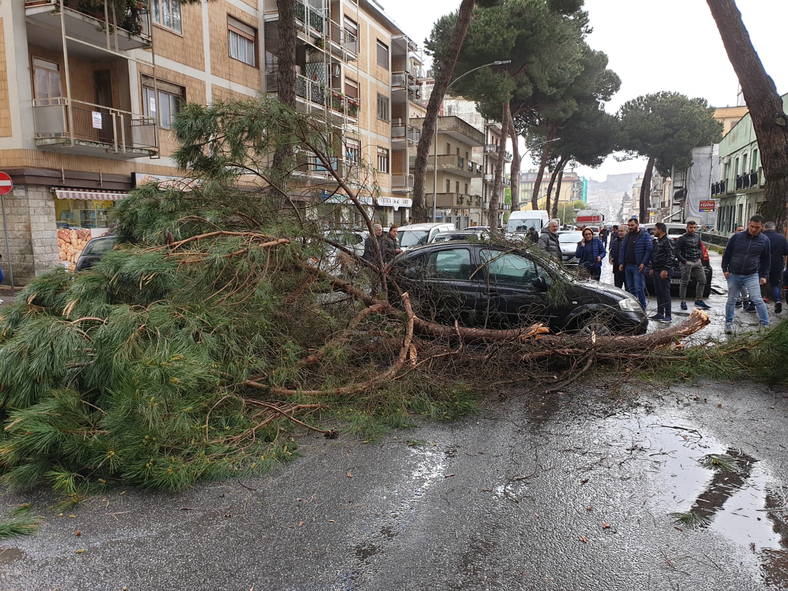 Maltempo Tragedia Sfiorata A Vibo Valentia Cade Un Pesante Ramo E