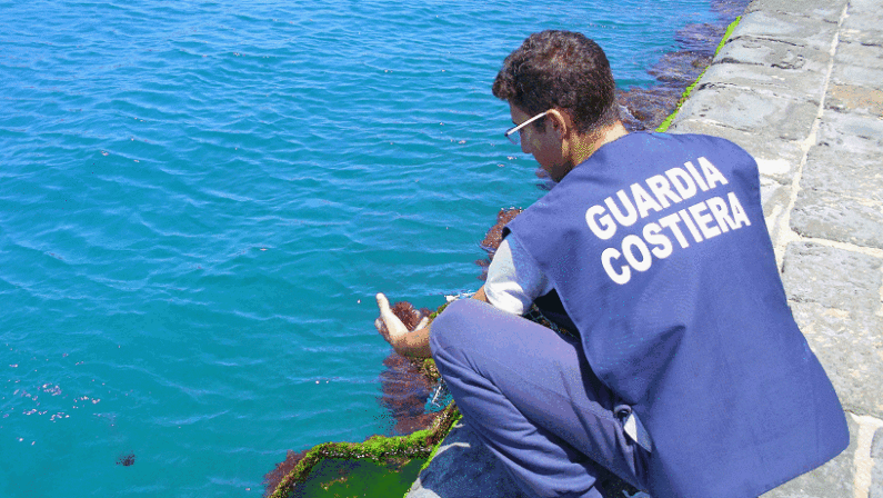 Sorpresi con 5.000 ricci di mare nel reggino
Denunciati pescatori di frodo in azione a Vibo