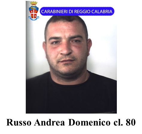 Scacco al clan dei Paviglianiti, 52 arresti nel Reggino 
le foto degli arrestati dai Carabinieri