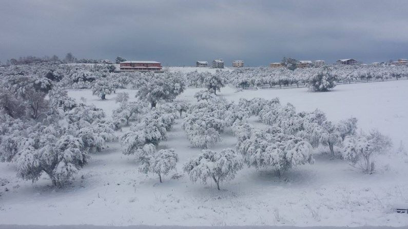 Freddo e temperature polari dal Nord Europa
Le immagini della neve in Calabria