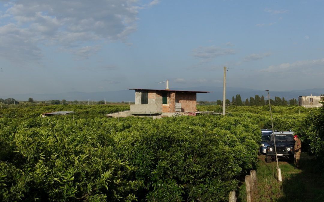 FOTO – Il viaggio dentro i misteri dell’Aspromonte  Le immagini dei bunker e dei boschi nelle montagne calabresi