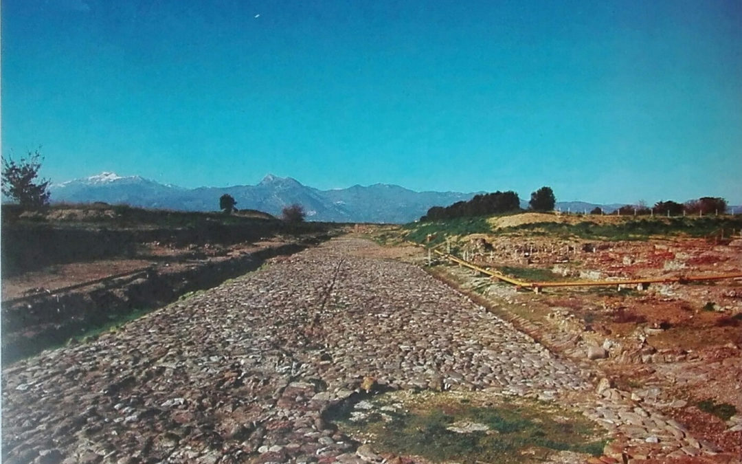 Pioggia di investimenti per rilanciare la cultura  In Calabria fondi per musei e parchi archeologici