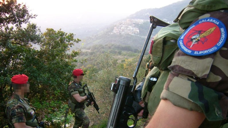 Droga: due piantagioni individuate e distrutte da carabinieri in Aspromonte