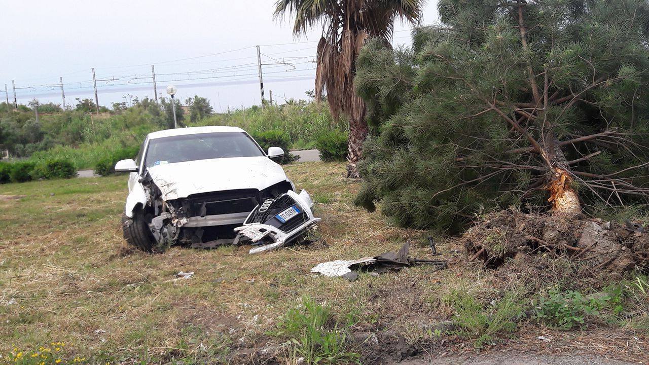 Auto Sbanda E Finisce Contro Una Palma Padre E Figlio Restano Feriti ...