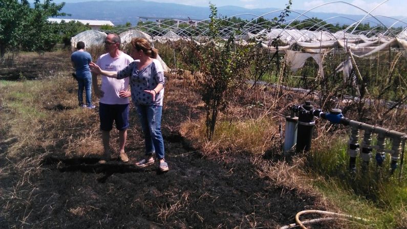 Lamezia, intimidazione contro una cooperativa di don Panizza  Distrutta una serra per i pomodori e il sistema di irrigazione