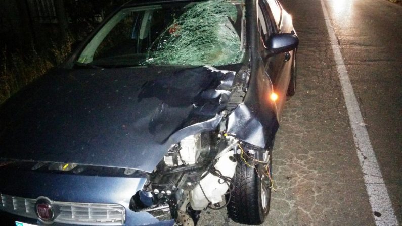 Donna investita nella notte a Rende da un'auto: è morta sul colpo, indagano i carabinieri