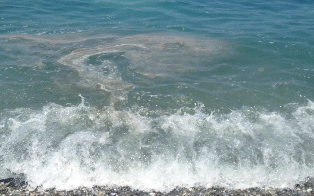 Mare sporco sulla costa tirrenica (foto d'archivio)