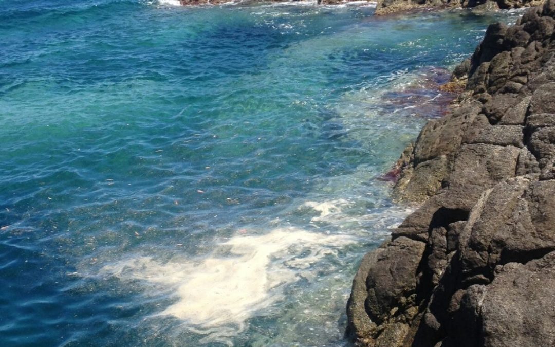 Mare sporco e depurazione in Calabria  Non aspettare l’ultimo istante per intervenire