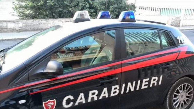 Armi nascoste nella legnaia vicino casa, un arresto in provincia di Reggio Calabria