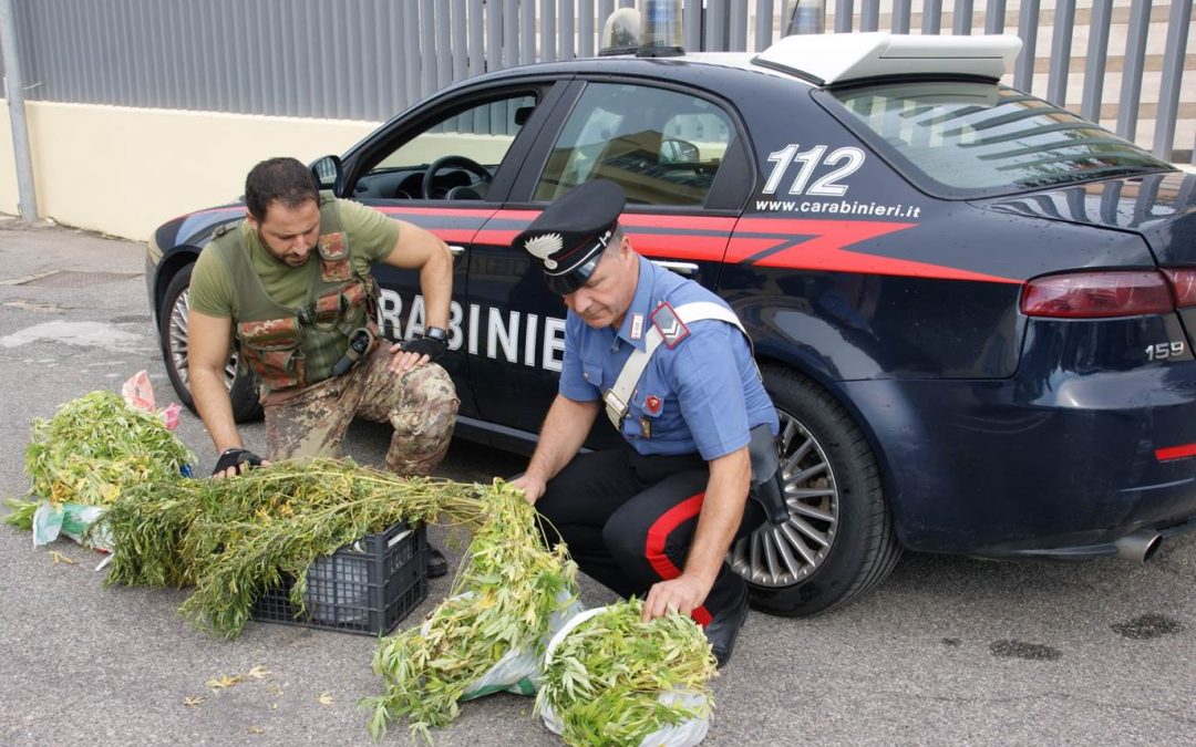 La droga sequestrata dai carabinieri