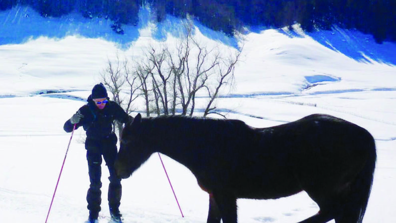 La Sila si trasforma in trappola di ghiaccio per un cavalloDa giorni si cerca di salvare l’animale bloccato dalla neve