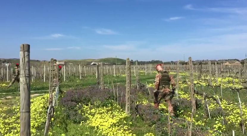 VIDEO – Omicidio Lettieri, le ricerche dei carabinieri nelle campagne di Cirò Marina