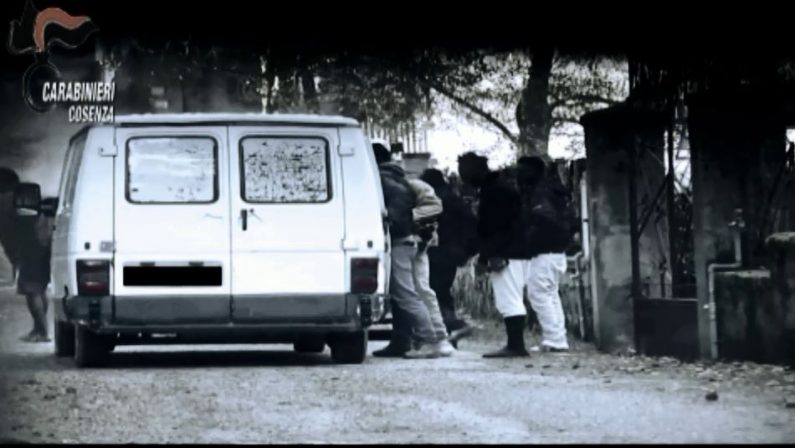 VIDEO - Migranti sfruttati a Cosenza, quattordici ordinanze cautelari: le immagini dei carabinieri