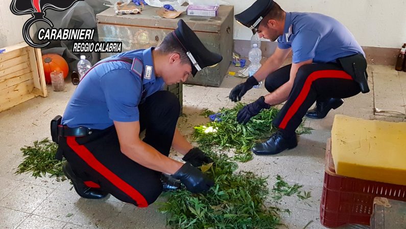 FOTO - Droga armi e munizioni scoperte a ReggioLe immagini della merce ritrovata dai carabinieri