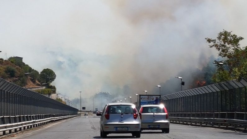 FOTO - Alcune immagini degli incendi divampati a Cosenza e Castrolibero