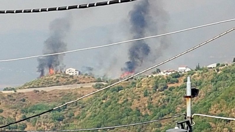 Emergenza incendi: la Calabria brucia, politici al mare  Minorenni presi a Cosenza mentre appiccavano rogo