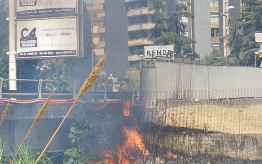 L'incendio al parco Nicholas Green a Rende