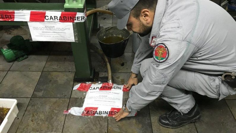 Liquidi dei frantoi finivano nei torrenti, sequestriDue strutture individuate in provincia di Cosenza