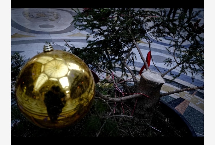 Napoli, ignoti  vandalizzano e poi rubano l'Albero di Natale della Galleria Umberto