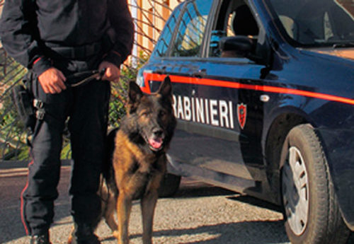 Droga e armi, blitz dei carabinieri nel ViboneseArrestato esponente di spicco della famiglia Soriano