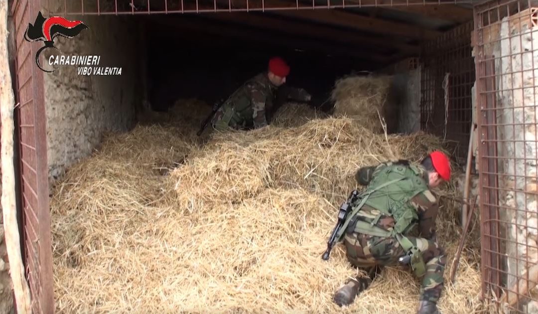 Un momento del blitz dei carabinieri