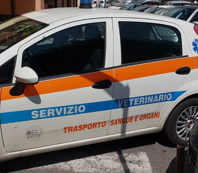 L'auto ferma sulle strisce pedonali