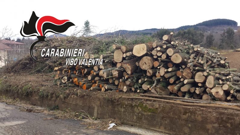 Sorpresi a tagliare alberi parzialmente senza autorizzazioneMigliaia di euro di multa e denuncia penale per tre persone
