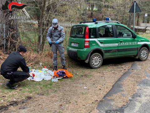 carabinieri forestale cotronei