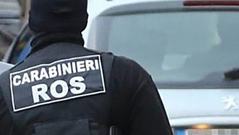 'Ndrangheta: ecco chi è il latitante Vincenzo Pasquino, arrestato insieme al boss Rocco Morabito