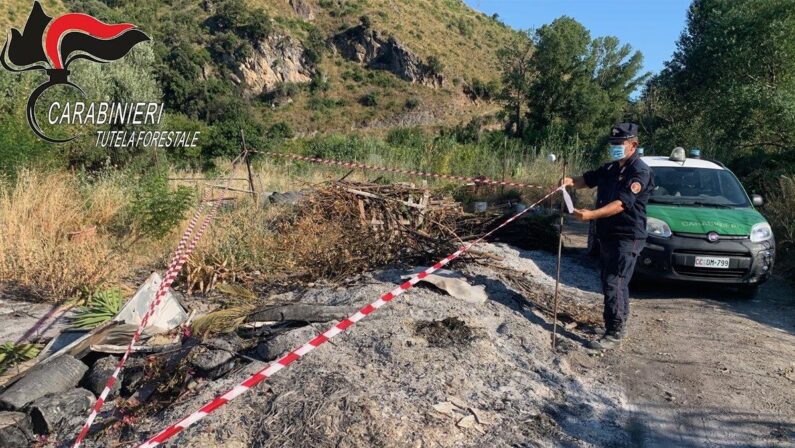 Roghi di rifiuti e taglio abusivo di alberi, due denunce nel Cosentino