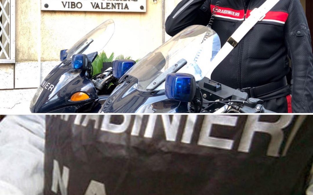 Il Comando carabinieri di Vibo e personale del Nas