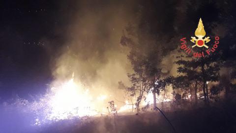 incendio catanzarese