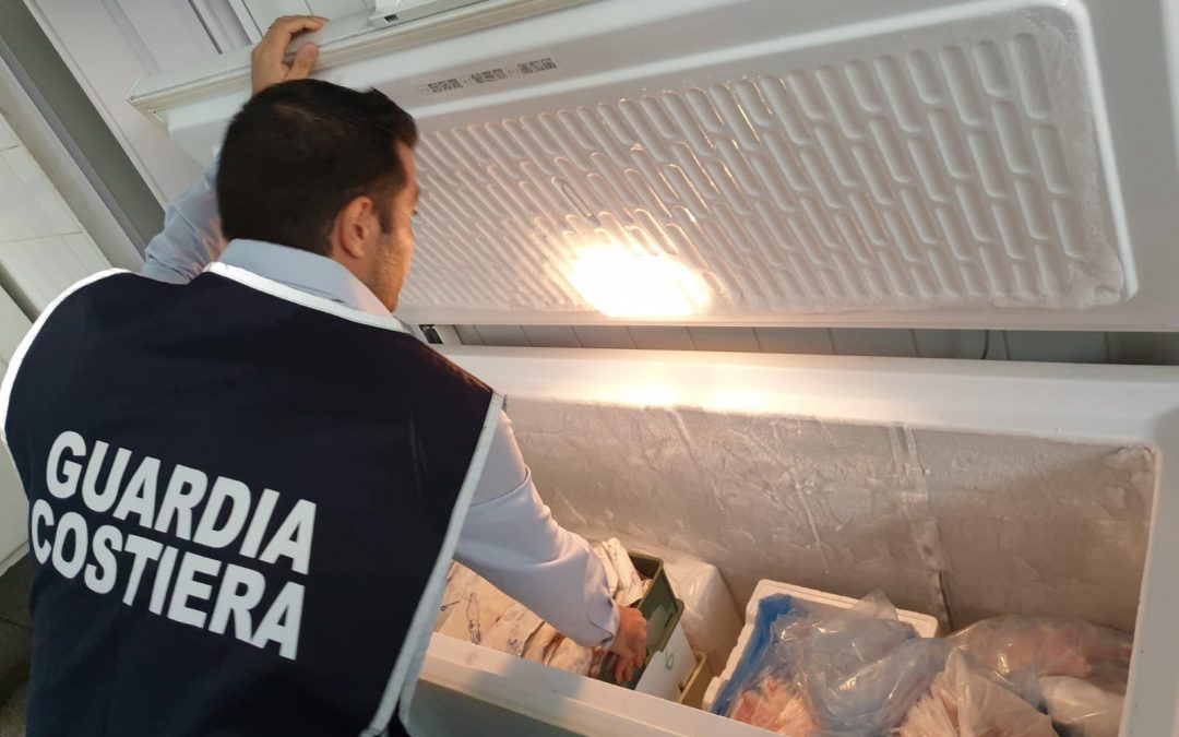 Sicurezza alimentare, Guardia costiera sequestra 35 chili di pesce in un negozio di Lamezia