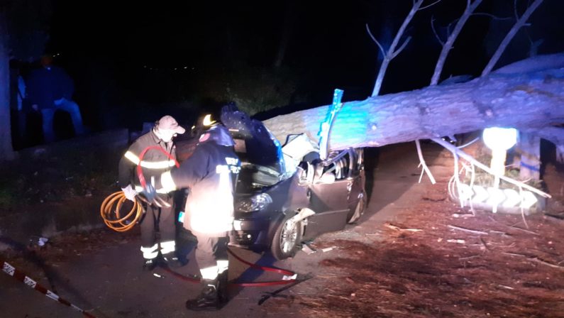 Crolla un albero sull'auto, ferite e ricoverate le due persone all'interno