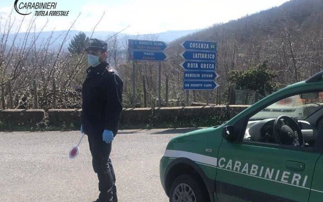 Denunciate quattro persone scoperte dai carabinieri fuori dai loro comuni senza autocertificazione