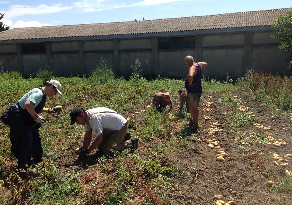 I componenti della cooperativa impegnati nella coltivazione