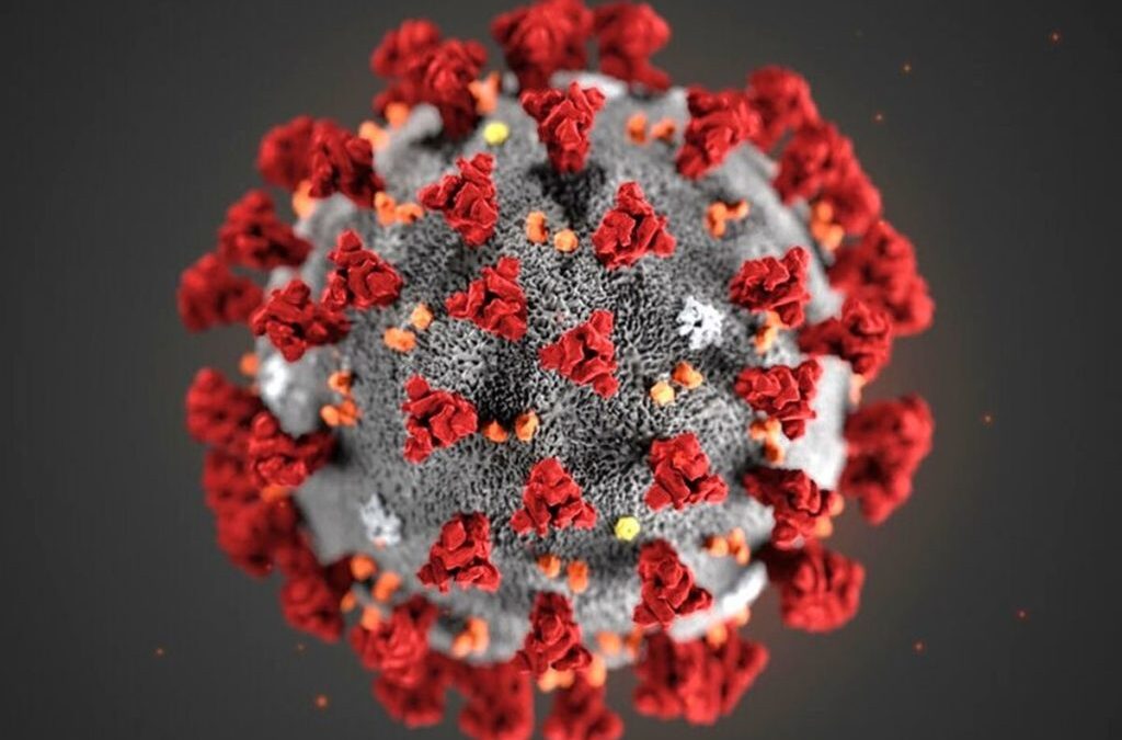 Coronavirus, tutte le raccolte dati in un unico sito