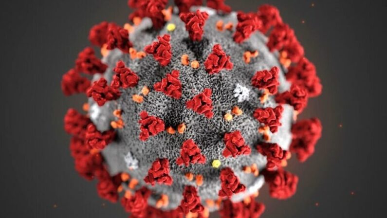 Coronavirus, tutte le raccolte dati in un unico sito