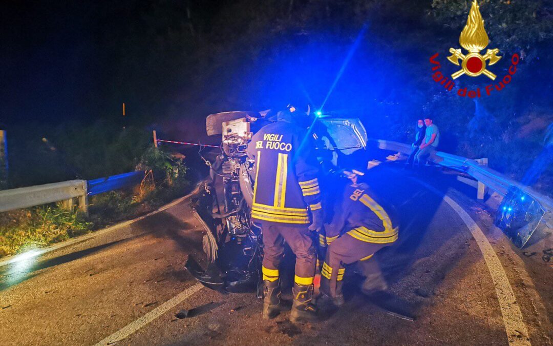 I vigili del fuoco hanno dovuto rimuovere il parabrezza per estrarre la conducente dal veicolo