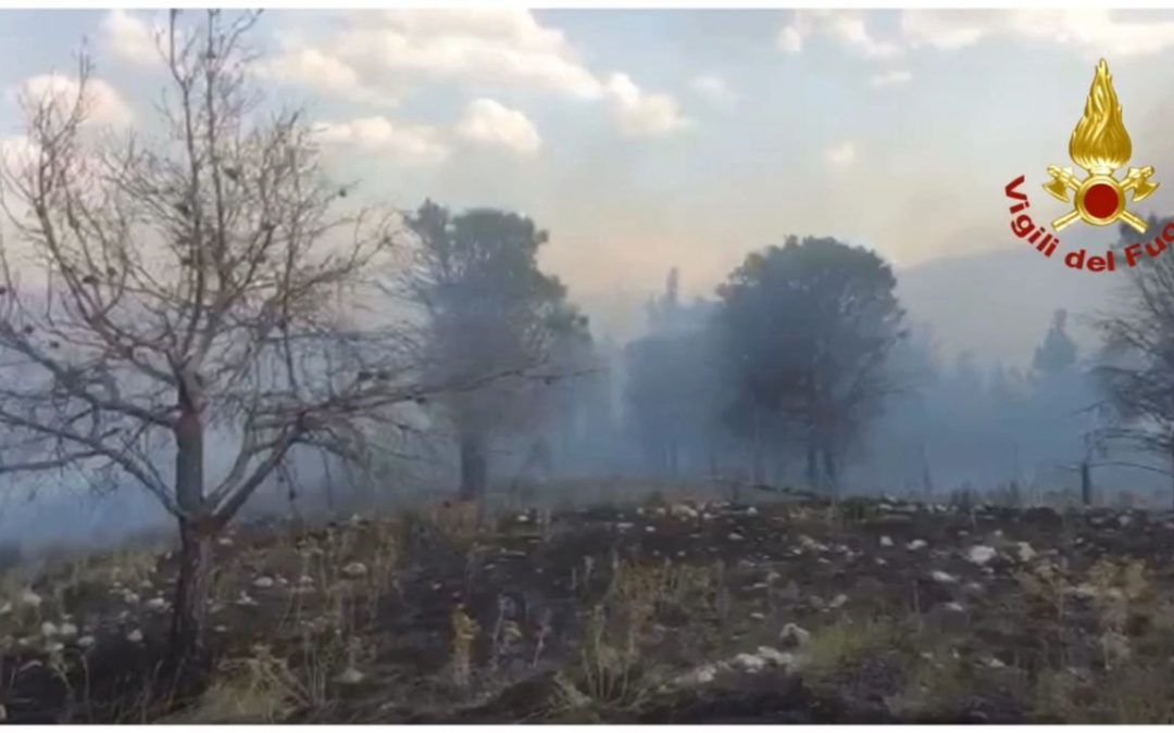 Incendi, 34589 interventi dei vigili del fuoco dal 15 giugno