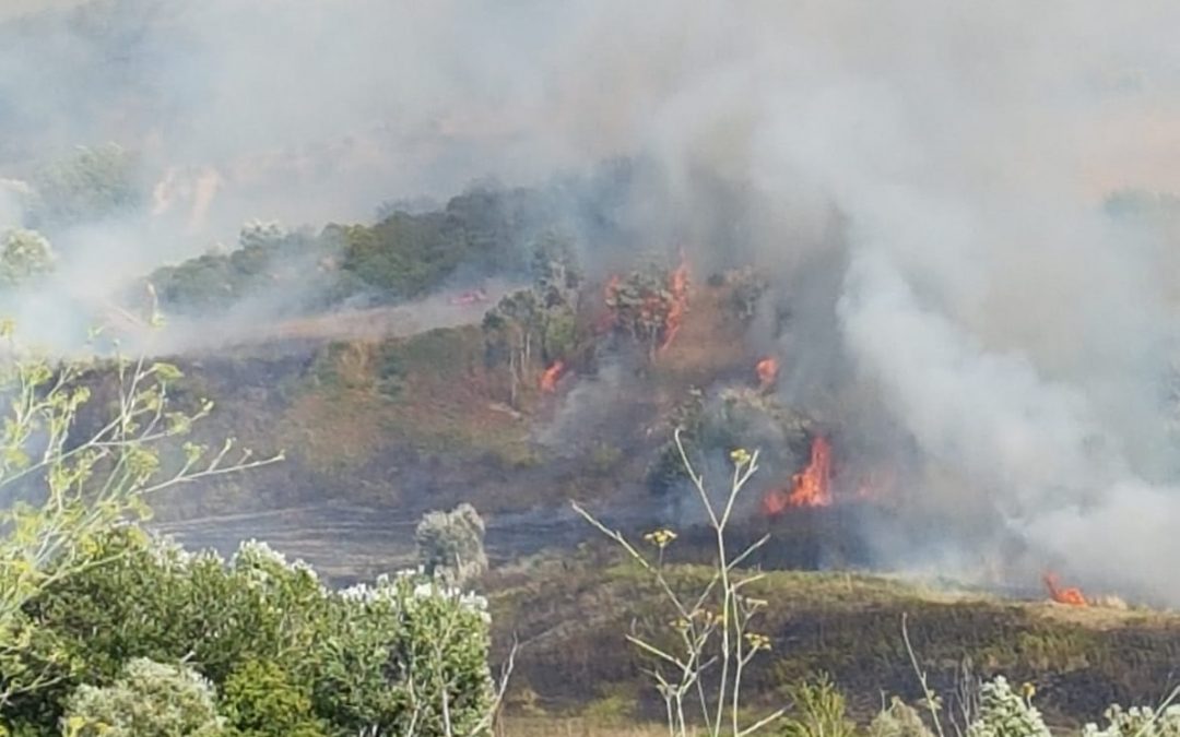 L'area interessata dall'incendio