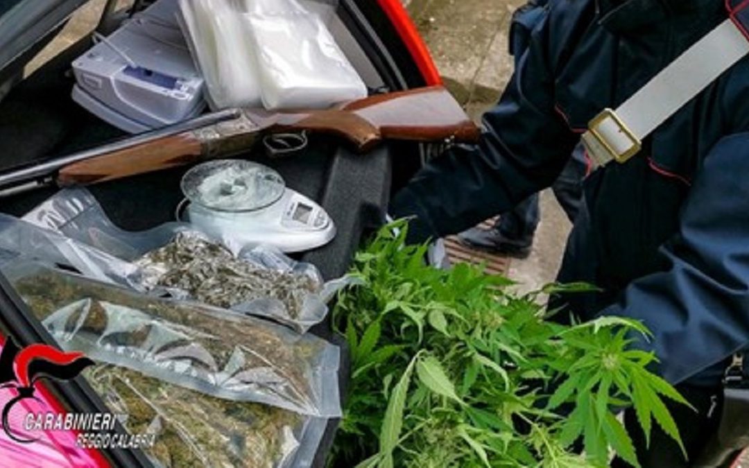 La marijuana e il fucile scoperti dai carabinieri