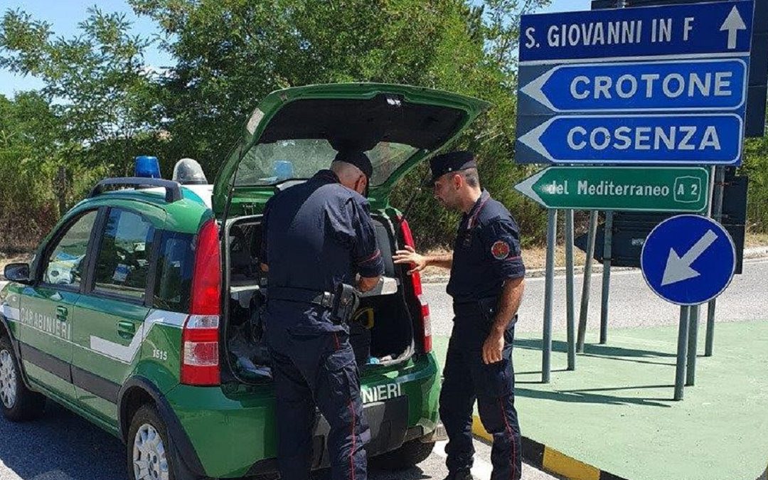 I Carabinieri Forestale