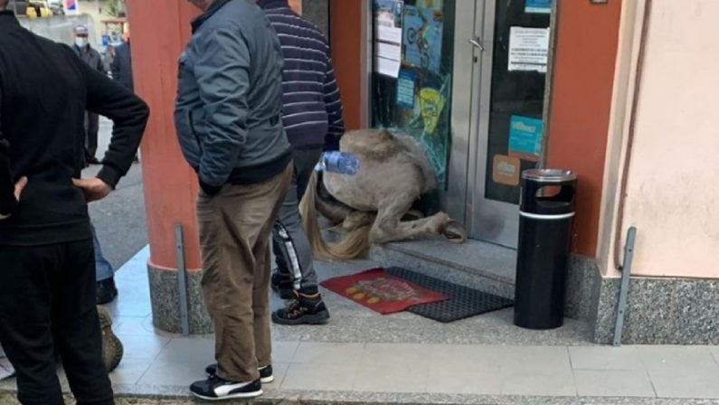 Disarcionato dal proprio cavallo nel centro di San Calogero, giovane in gravi condizioni