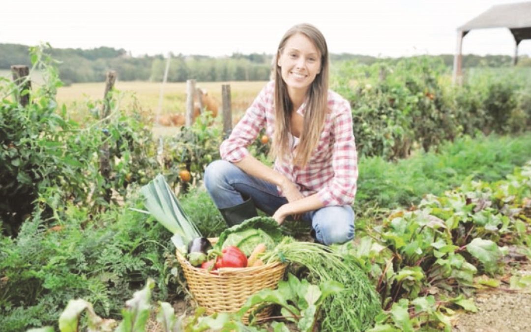 AGRICOLTURA GREEN, LA RISCOSSA PARTE DAI GIOVANI DEL SUD