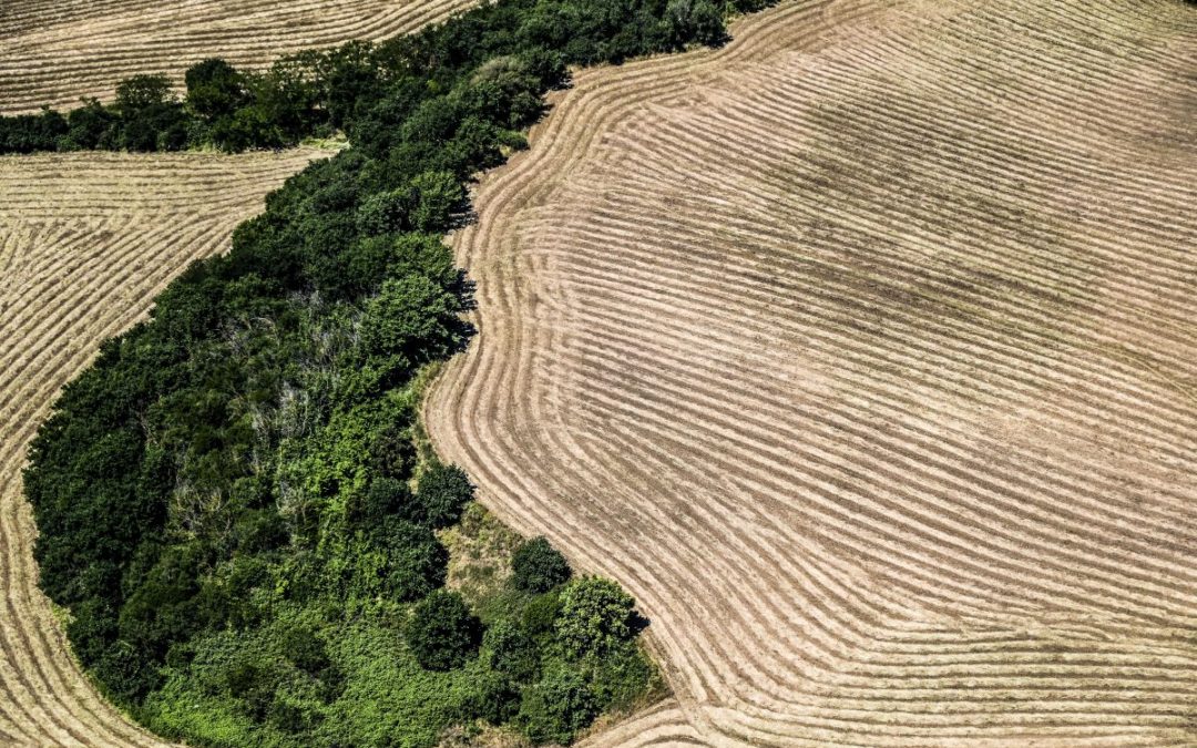 63% mamme italiane pensa che prendersi cura dell’ambiente sia costoso