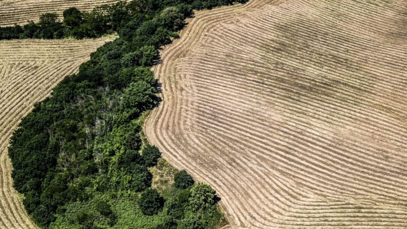 63% mamme italiane pensa che prendersi cura dell’ambiente sia costoso