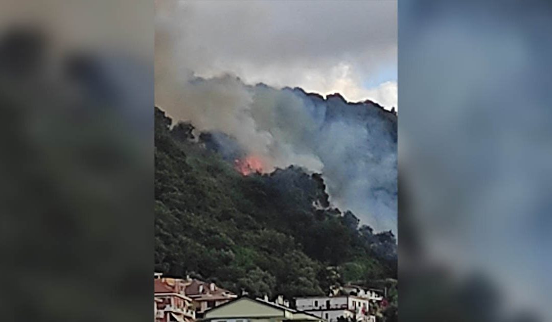 L'incendio a Vibo Valentia