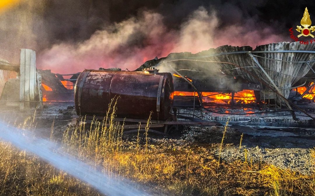 L'incendio in un vivaio di Bisignano